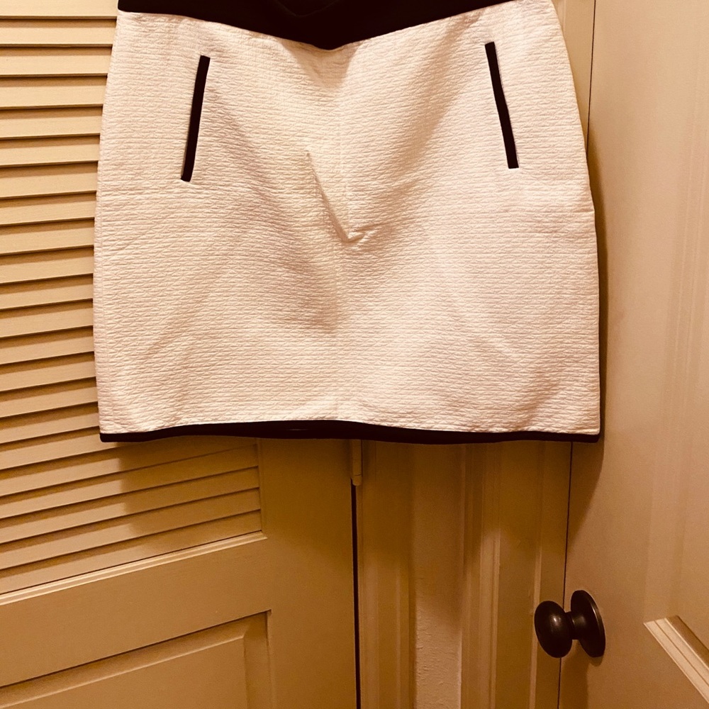Ann Taylor skirt